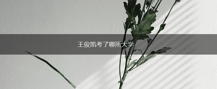 王俊凯考了哪所大学,第1张