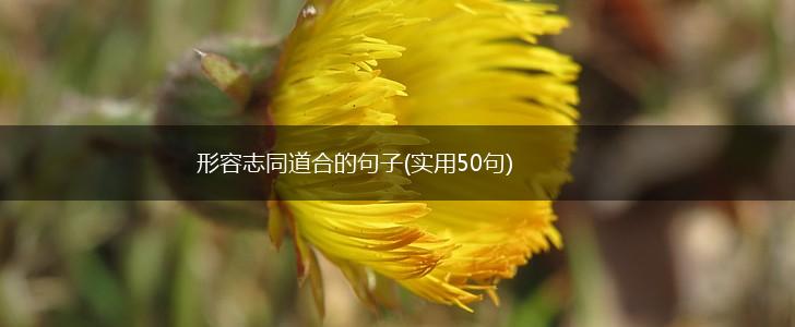 形容志同道合的句子(实用50句),第1张