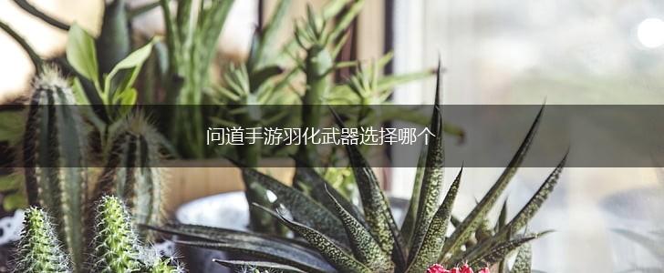 问道手游羽化武器选择哪个,第1张
