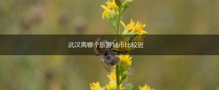 武汉离哪个旅游城市比较近,第1张