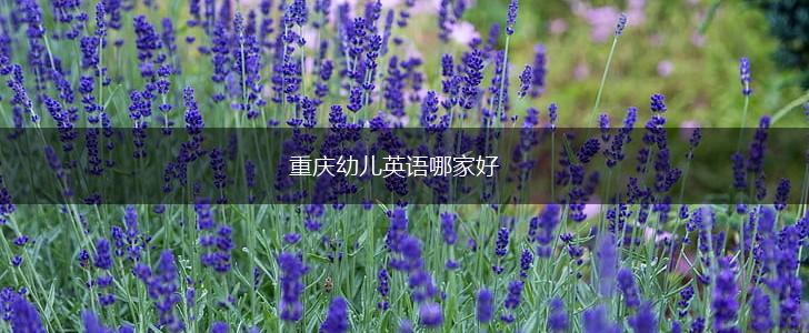 重庆幼儿英语哪家好,第1张