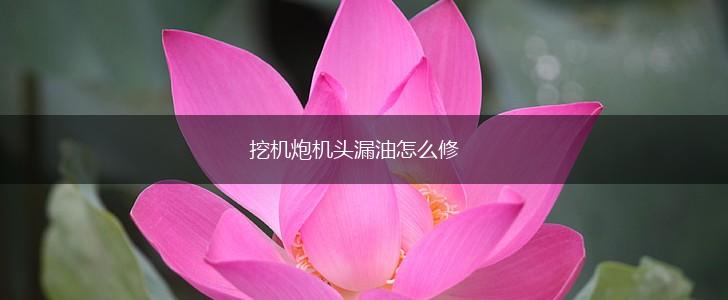 挖机炮机头漏油怎么修,第1张