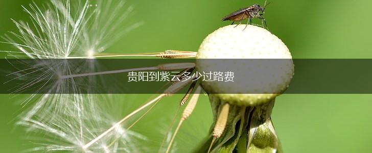 贵阳到紫云多少过路费,第1张