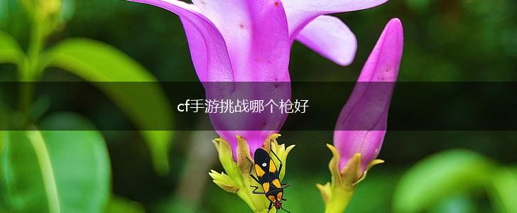 cf手游挑战哪个枪好,第1张