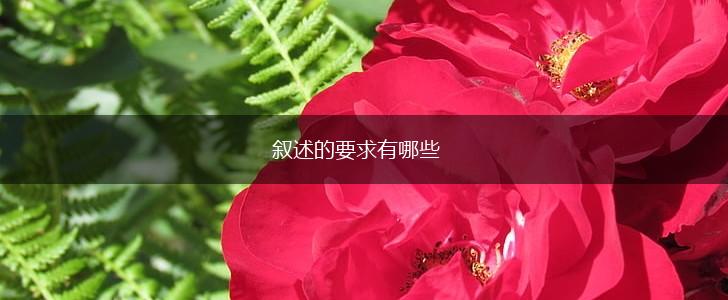 叙述的要求有哪些,第1张