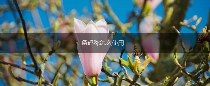 条码称怎么使用,第1张