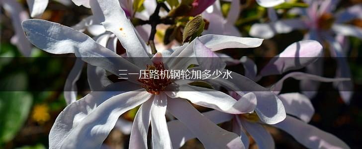 三一压路机钢轮加多少水,第1张