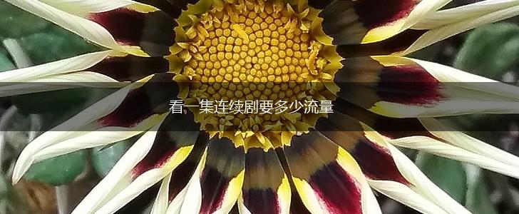 看一集连续剧要多少流量,第1张