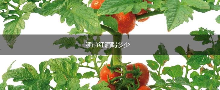 睡前红酒喝多少,第1张