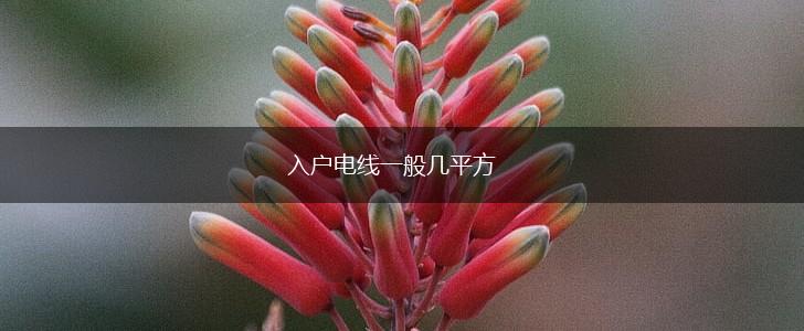 入户电线一般几平方,第1张