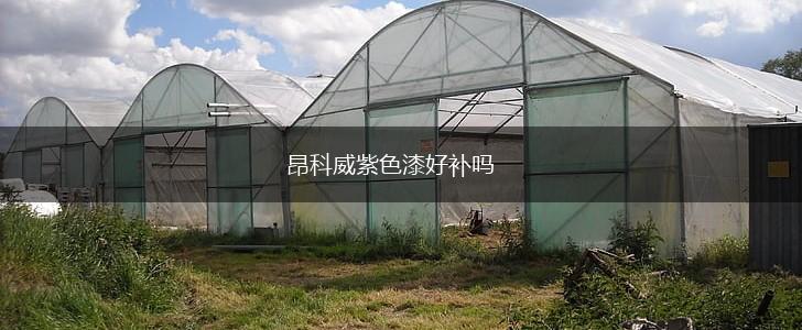 昂科威紫色漆好补吗,第1张