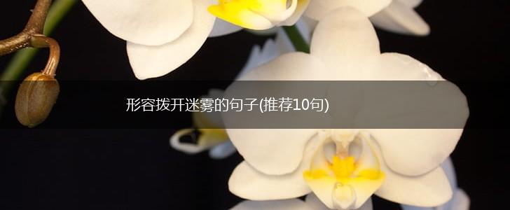 形容拨开迷雾的句子(推荐10句),第1张