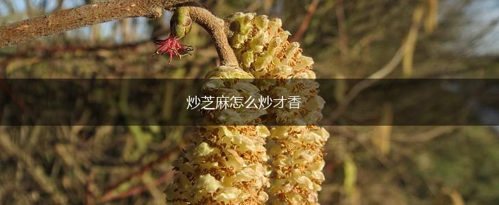 炒芝麻怎么炒才香,第1张