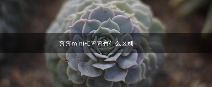奔奔mini和奔奔有什么区别,第1张