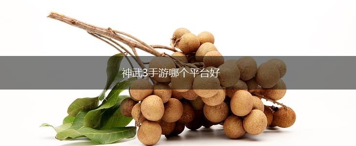 神武3手游哪个平台好,第1张