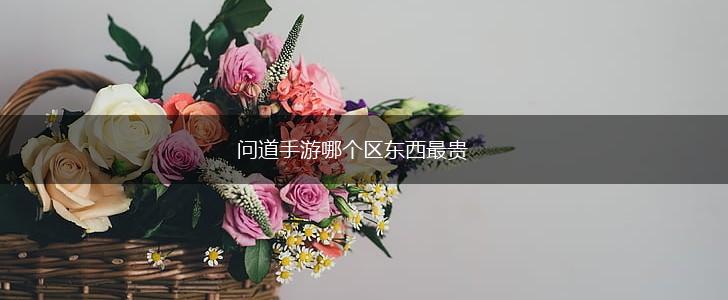 问道手游哪个区东西最贵,第1张