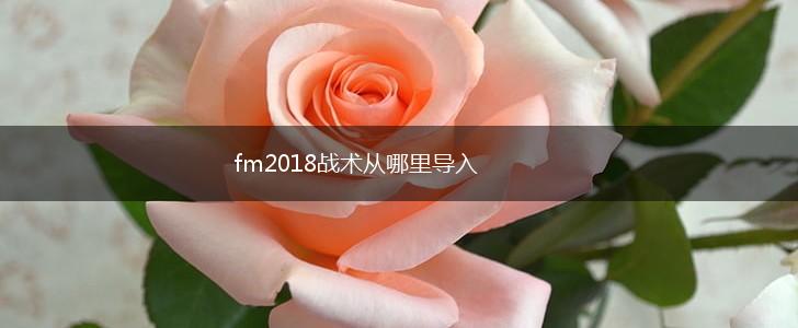 fm2018战术从哪里导入,第1张