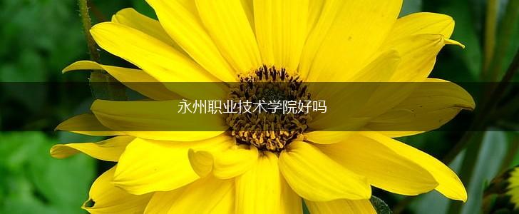 永州职业技术学院好吗,第1张