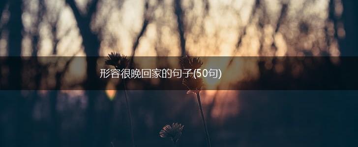 形容很晚回家的句子(50句),第1张