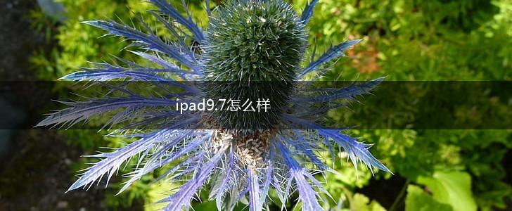ipad9.7怎么样,第1张