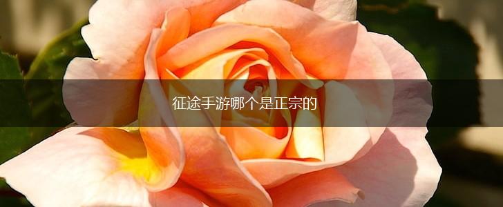 征途手游哪个是正宗的,第1张