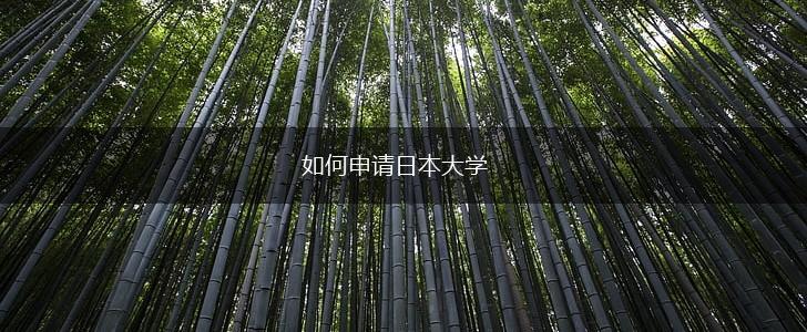 如何申请日本大学,第1张