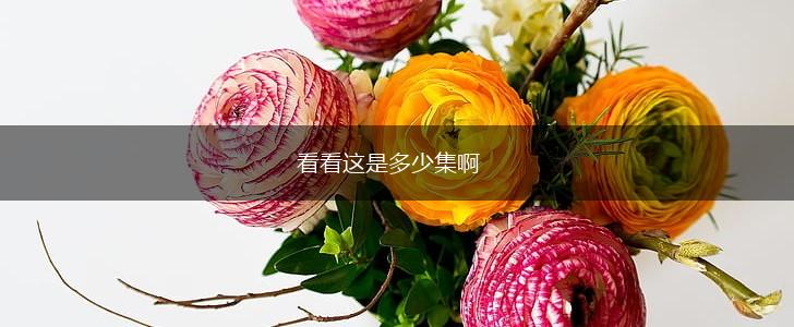 看看这是多少集啊,第1张