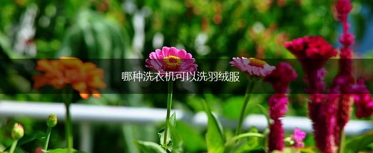 哪种洗衣机可以洗羽绒服,第1张