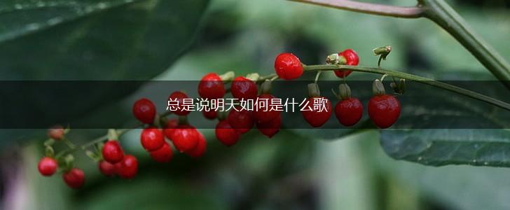 总是说明天如何是什么歌,第1张