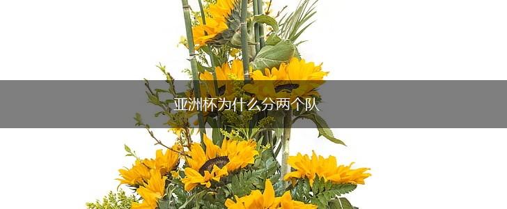 亚洲杯为什么分两个队,第1张