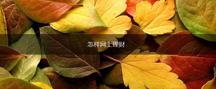 怎样网上理财,第1张