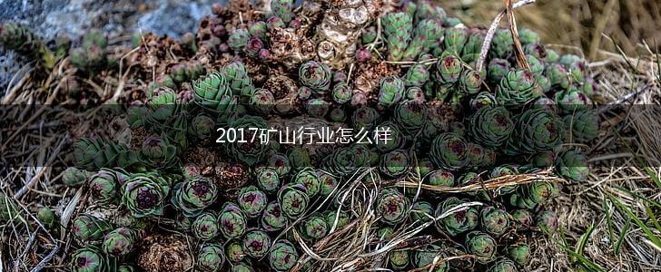 2017矿山行业怎么样,第1张