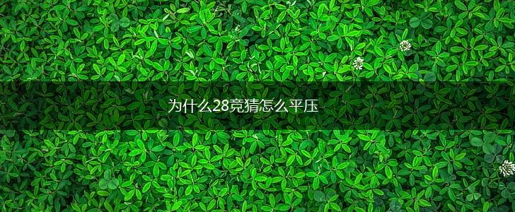 为什么28竞猜怎么平压,第1张