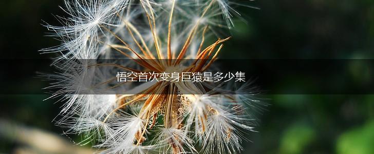 悟空首次变身巨猿是多少集,第1张