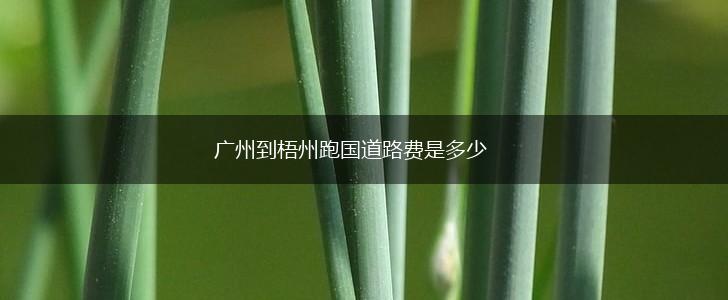 广州到梧州跑国道路费是多少,第1张