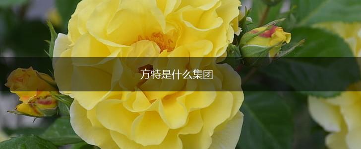 方特是什么集团,第1张
