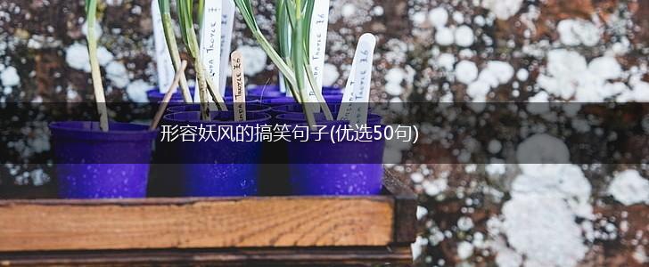 形容妖风的搞笑句子(优选50句),第1张