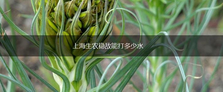 上海生农稳敌能打多少水,第1张