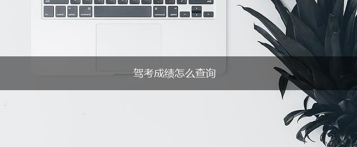 驾考成绩怎么查询,第1张