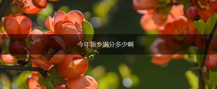今年新乡满分多少啊,第1张