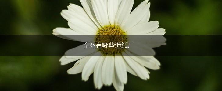 全图有哪些造纸厂,第1张