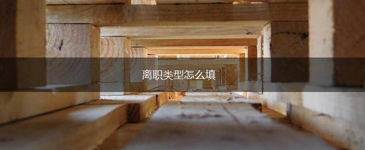 离职类型怎么填,第1张