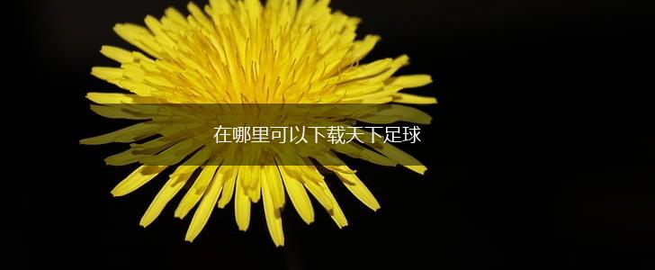 在哪里可以下载天下足球,第1张