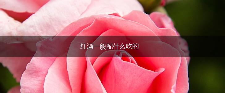 红酒一般配什么吃的,第1张
