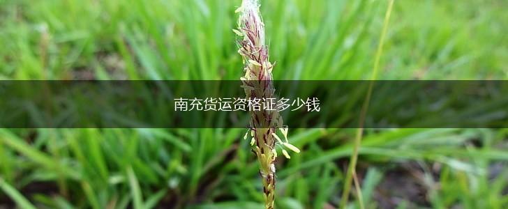南充货运资格证多少钱,第1张