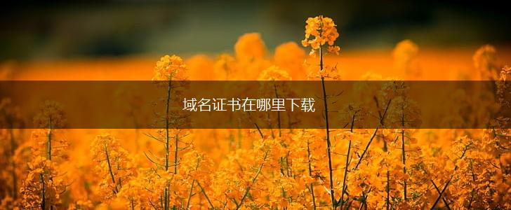 域名证书在哪里下载,第1张