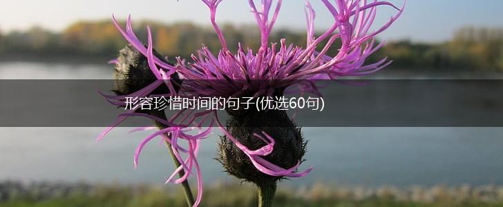 形容珍惜时间的句子(优选60句),第1张