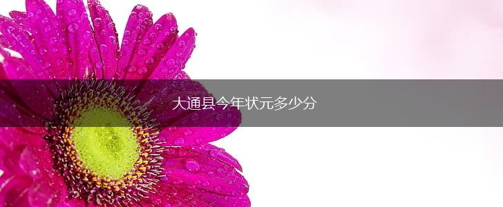 大通县今年状元多少分,第1张