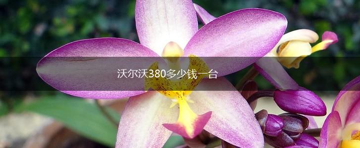 沃尔沃380多少钱一台,第1张