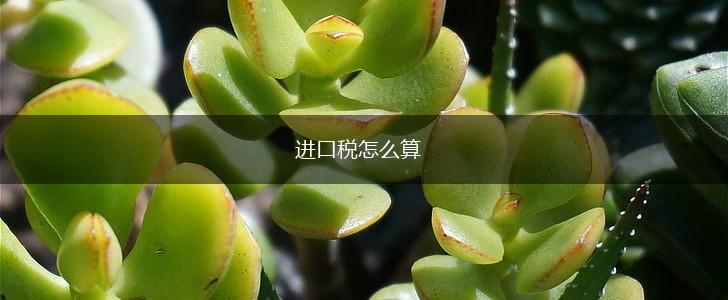 进口税怎么算,第1张